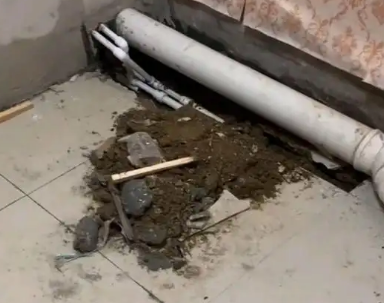 桂林市卫生间漏水检测哪家好
