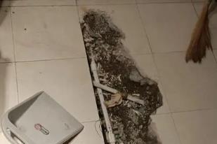桂林市卫生间漏水检测电话